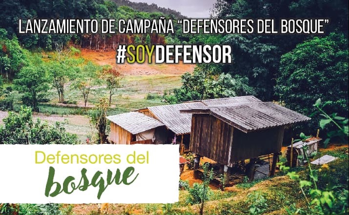 [CAMPAÑA] Defensores del bosque. “Realidad en la que viven miles de guatemaltecos afectados por los desalojos y desplazamientos forzados y violentos"