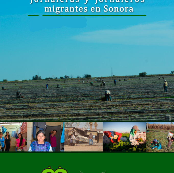 Jornaleros y Jornaleras indígenas migrantes en Sonora 