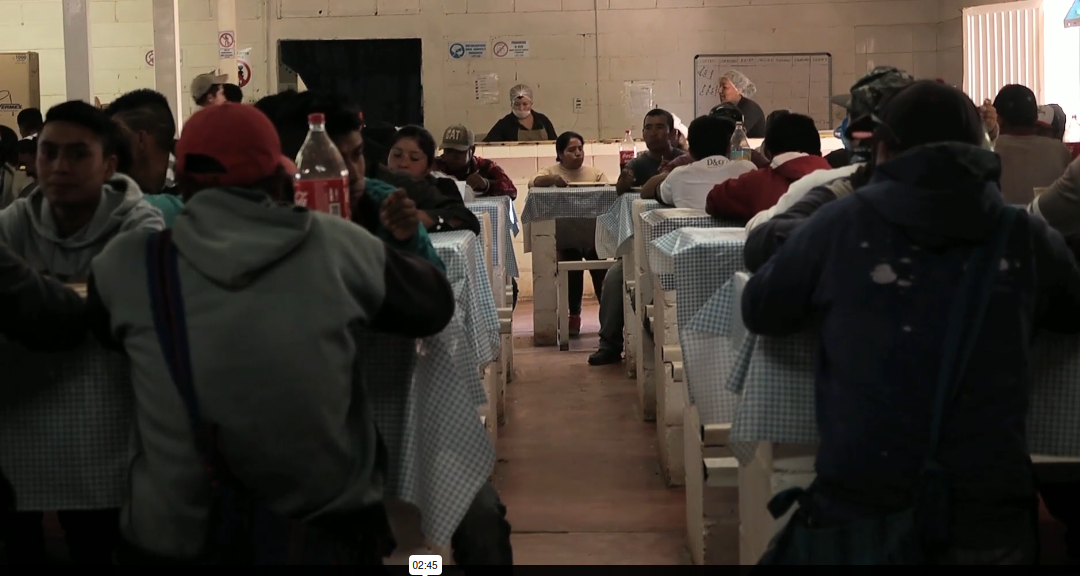 Festival de Juventudes: MuMi en movimiento. Jornadas por la equidad y justicia en campos jornaleros